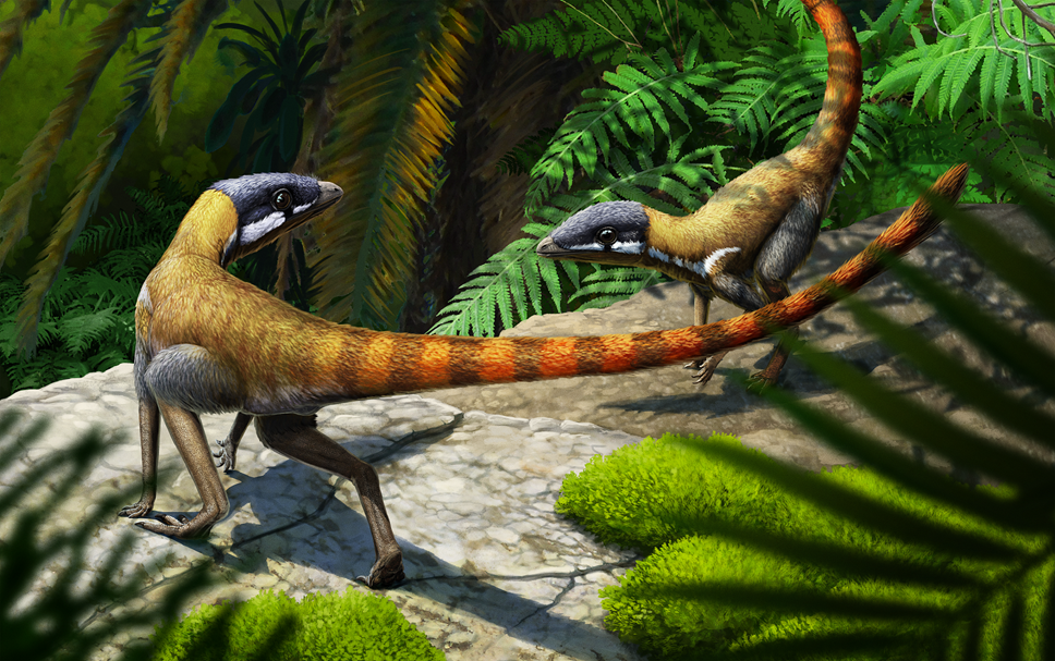 Life reconstruction of Scleromochlus taylori by Gabriel Ugueto