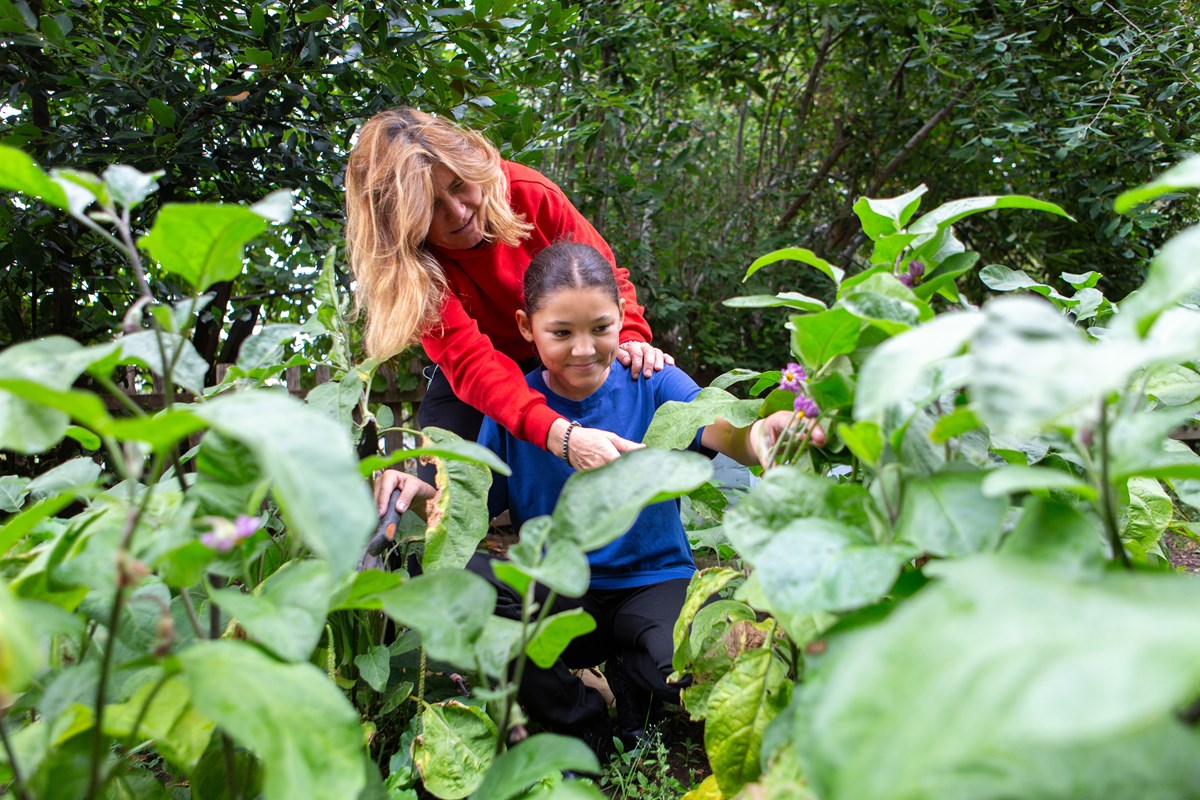 Picking vegetables at Lumpy Hill Adventure Playground