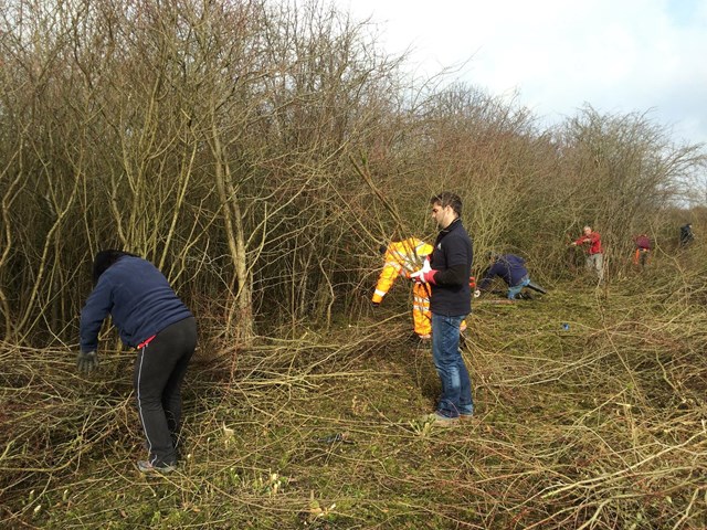 Network Rail volunteers helping create a new habitat for the Duke of Burgundy butterfly