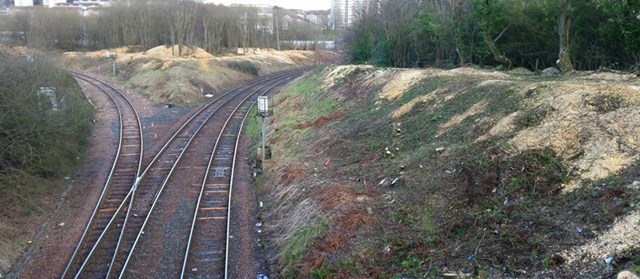 Tree cutting to resume on East Kilbride line.: veg 1 after