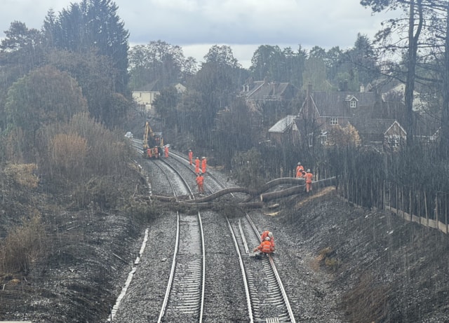 Network Rail engineers removing trees from the railway in Stourbridge: Network Rail engineers removing trees from the railway in Stourbridge