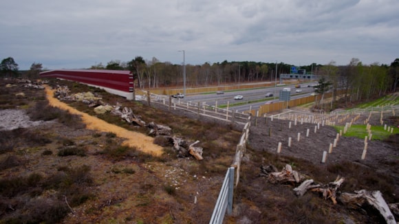 The UK's first ever heathland bridge-2