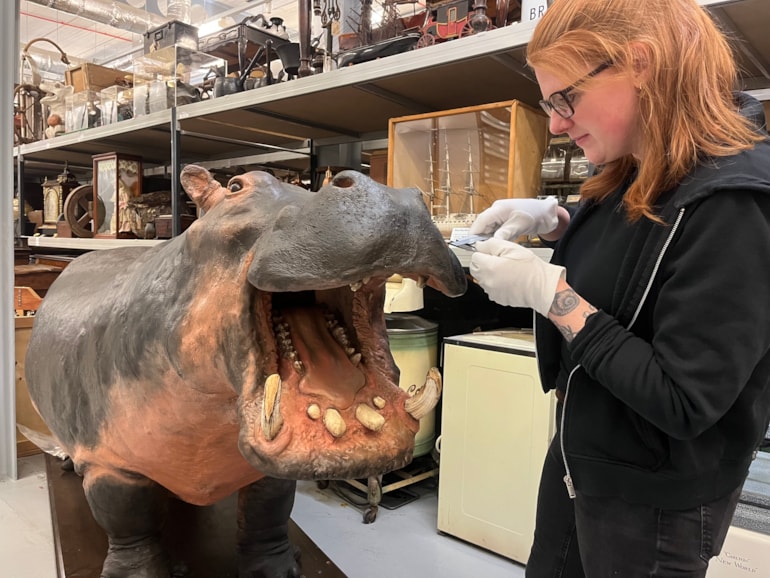 Visitors find a million reasons to flock to city’s museums