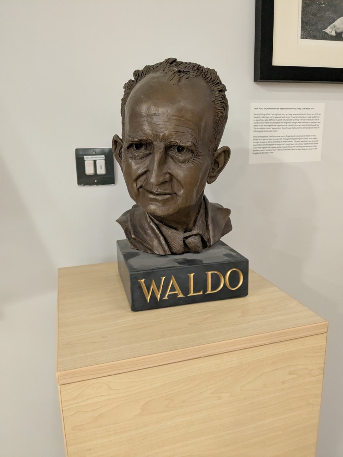 Waldo Williams