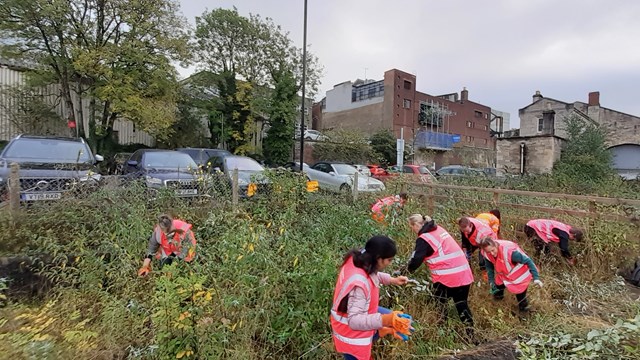 Stroud Volunteers clearing vegetation