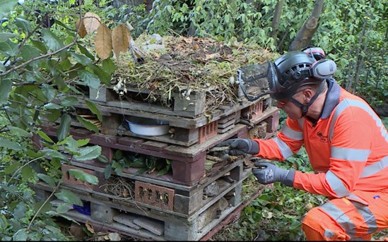 HS2 workers adding material to a bug hotel at the Adelaide Road Nature Reserve, Camden.: Credit: HS2 Ltd