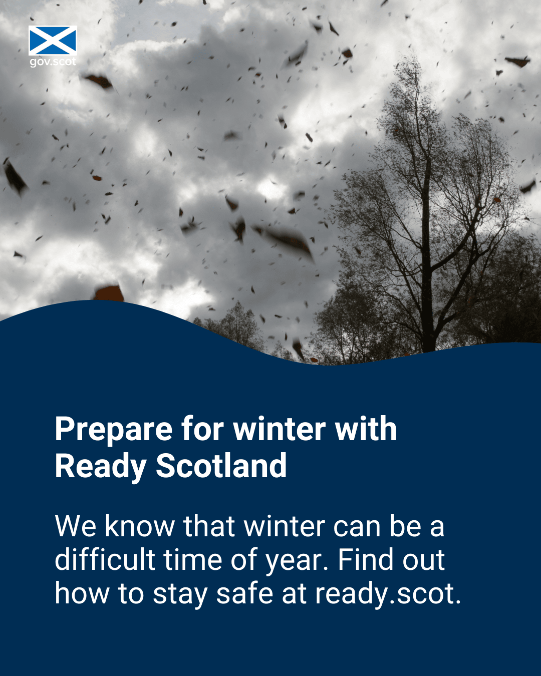 Wind - Portrait - Winter - SG Resilience - November 2025