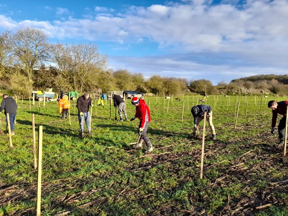 Humber Forest plants 4,500 trees during National Tree Week