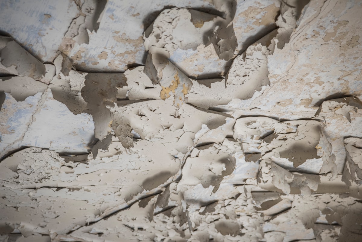 The ceiling in the Victorian bath house