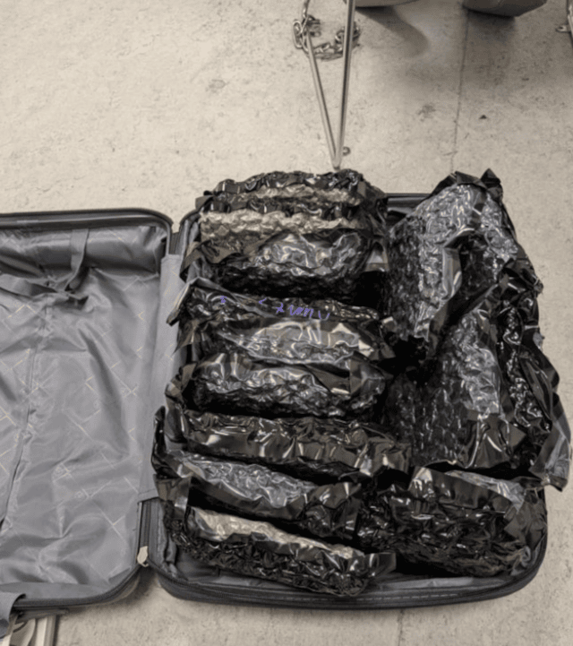 Noah Barker cannabis suitcase