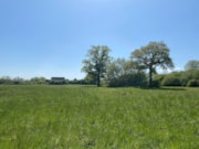 3. Tanyard Meadows, Horley: Tanyard Meadows, Horley