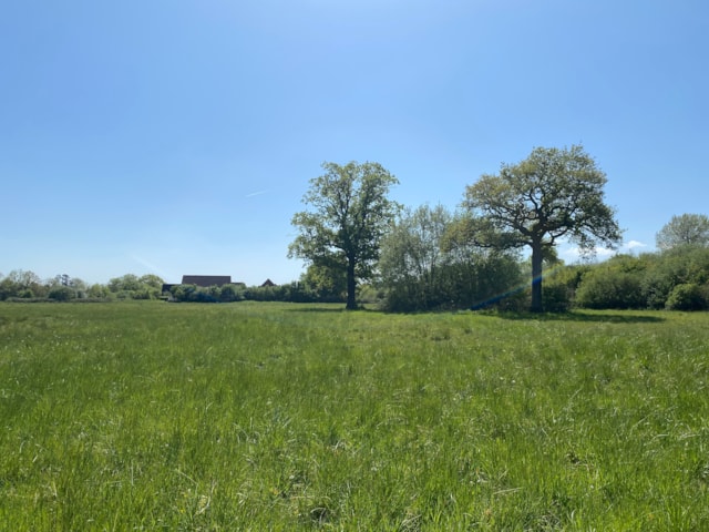 3. Tanyard Meadows, Horley: Tanyard Meadows, Horley