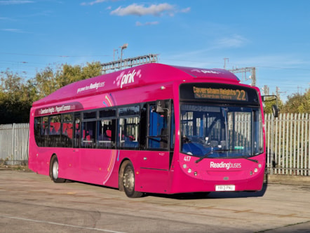 Pink 22