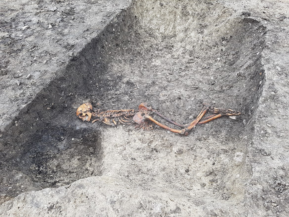 HS2 uncovers Iron Age murder victim and timber Stonehenge-style formation during excavations at Wellwick Farm, Bucks: Iron Age Skeleton July 2020