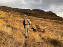 Deer management at Creag Meagaidh NNR ©NatureScot