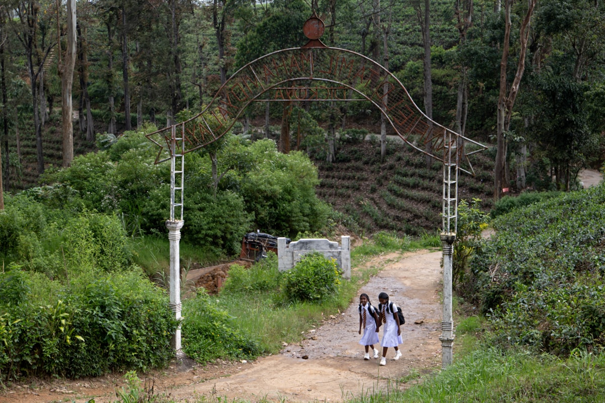 MOMPÓ, BÁRBARA-238