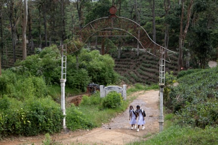 MOMPÓ, BÁRBARA-238