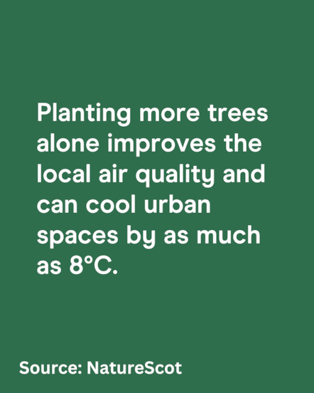 Social asset - Nature 4 - 1080 x1350