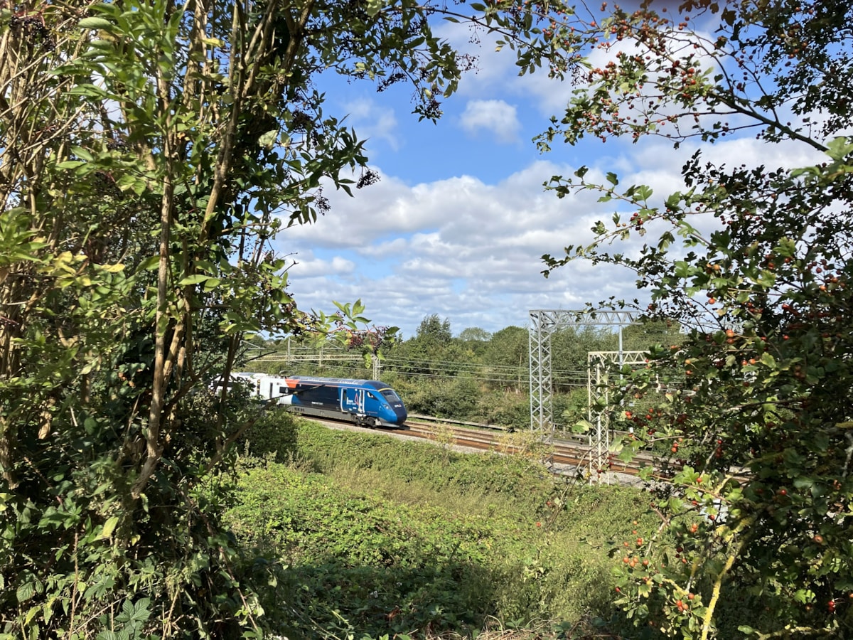 Thomas Hill Winner Emerging Artist