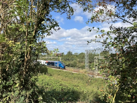 Thomas Hill Winner Emerging Artist