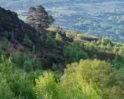 Pic 5 - Winner of the 2024 Large Community Woodland Group competition and Tim Stead Trophy, Highland Perthshire Communities Land Trust for Dùn Coillich: Pic 5 - Winner of the 2024 Large Community Woodland Group competition and Tim Stead Trophy, Highland Perthshire Communities Land Trust for Dùn Coillich