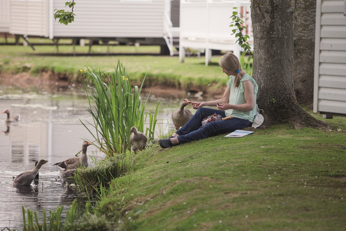 Lake View at Haggerston Castle