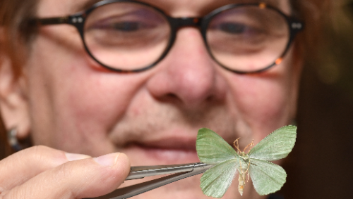 Major digitisation project to document Scotland’s biodiversity
