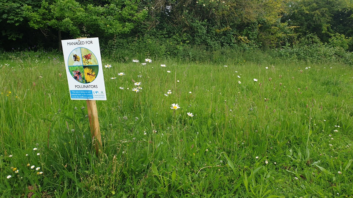 Biodiversity Plan Consultation