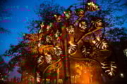 Walk the Plank - Fire Garden (photo credit Vipul Sangoi): Walk the Plank - Fire Garden (photo credit Vipul Sangoi)