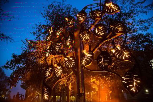 Walk the Plank - Fire Garden (photo credit Vipul Sangoi)