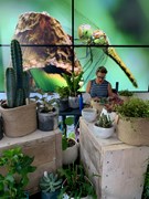 TfL Image - Small and Green using Sook
