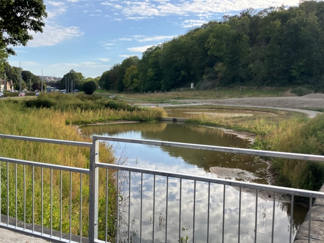 Rainscape1 (credit BHCC Flood Risk team)