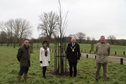 aldenham-country-park-planting-with-guests