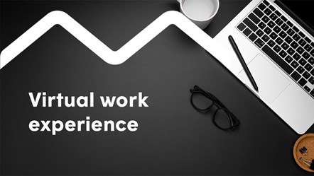 virtual work experience