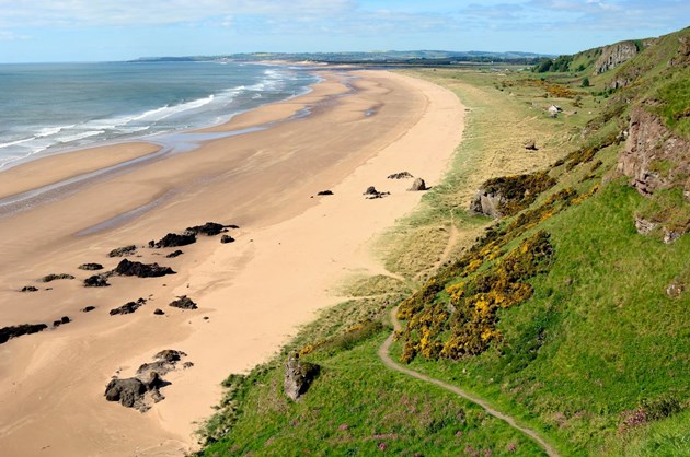 St Cyrus National Nature Reserve: Please credit Lorne Gill/Scottish Natural Heritage