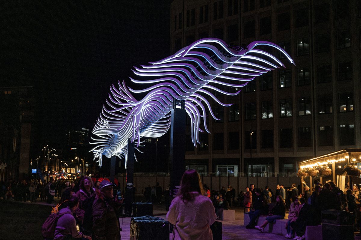 'Bird Passing By' Installation at Leeds Light Night 2025