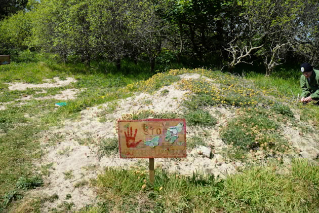 Butterfly bank and sign, Dunnet Community Forest (c) Eilidh Ross