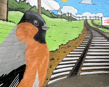 This image shows the new colourful mural at Levenshulme