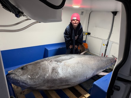 tuna