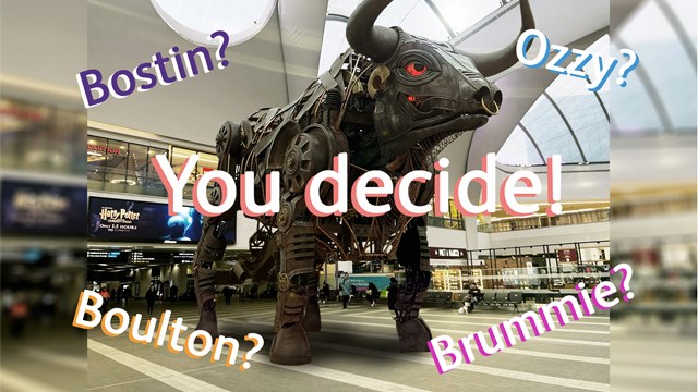 Final shortlist revealed as voting opens to rename New Street Bull: BULL VOTE YOU DECIDE