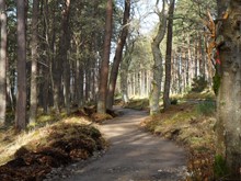 Loch Fleet NNR - Golspie Community Council's new all abilities footpath - part already completed by local firm Waverly Engineering (130318)