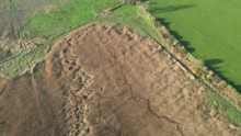 Drone image of a section of reedbed before restoration work started ©NatureScot