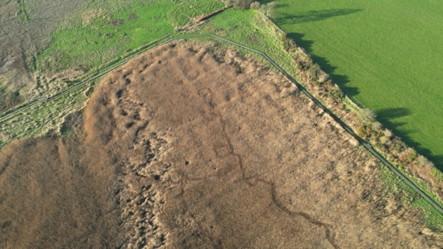 Drone image of a section of reedbed before restoration work started ©NatureScot