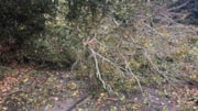 October storms: East Sussex Highways dealt with 218 emergency calls as Storm Austen and Storm Boleo hit the county, bringing down trees and causing flooding