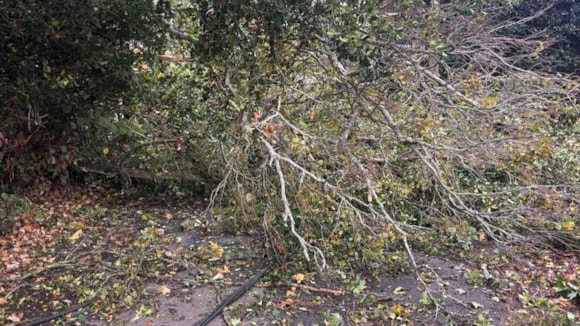 Council leaders praise highways response to storm damage: October storms