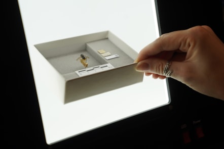 DiSSCo first specimen hoverfly digitisation at the National Museums Collection Centre credit Stewart Attwood