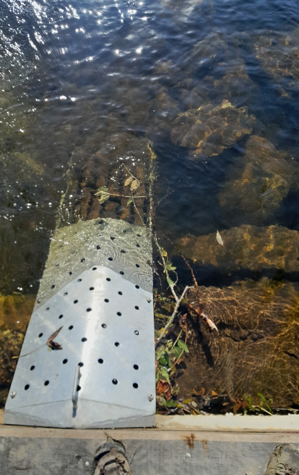 Image 2 - Ramp with studded tiles for eel and lamprey Sept 2024