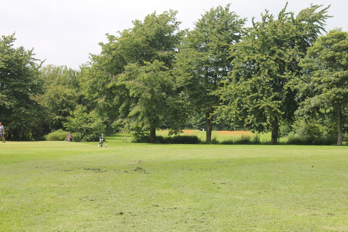 ​More trees will be planted in Moray as part of compensatory planting schemes to create woodlands.