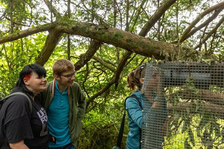 Students monitoring dormice