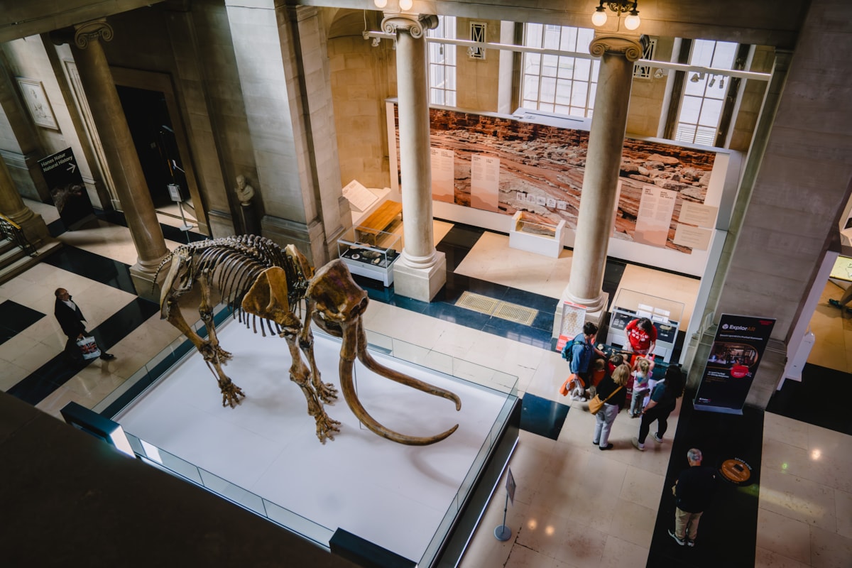 National Museum Cardiff in Cardiff.